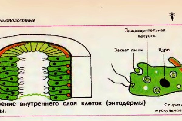 Сайт кракен гидра