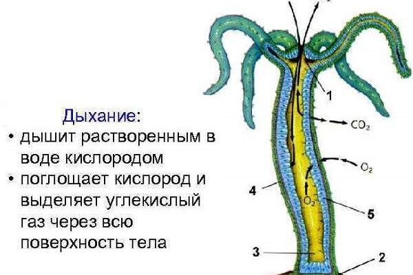 Кракен магазин тор